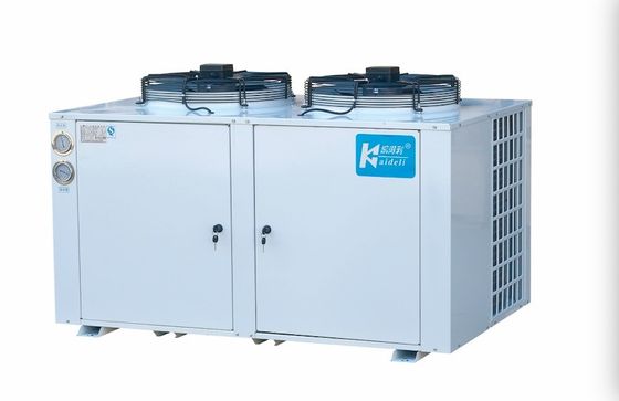 Type réfrigérant de condensation de cabine d'U du dispositif de refroidissement R22 d'entreposage au froid d'unité de pièce de congélateur