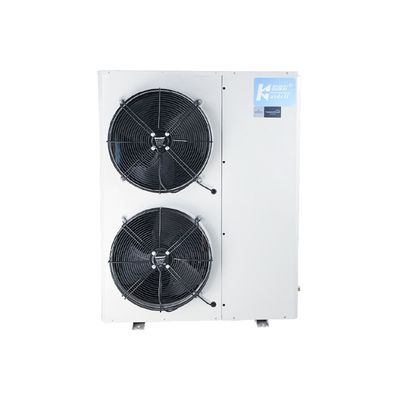 Réfrigérateur de condensation d'unité de chambre froide de 3HP 4HP 5HP pour l'entreposage au froid