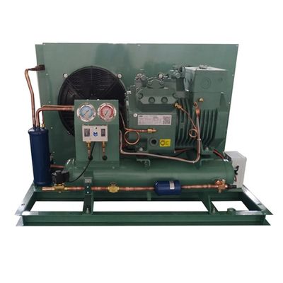 Température de condensation de vaporisateur d'unité de chambre froide de  4hp basse