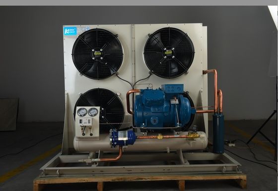 Système de refroidissement de condensation d'unité de chambre froide de Monoblock de Temp de Frost pour l'entreposage au froid