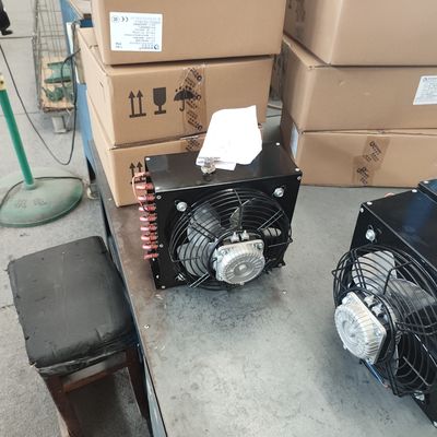L'air de réfrigération a refroidi la machine interne de rotor de condensateur de chambre froide